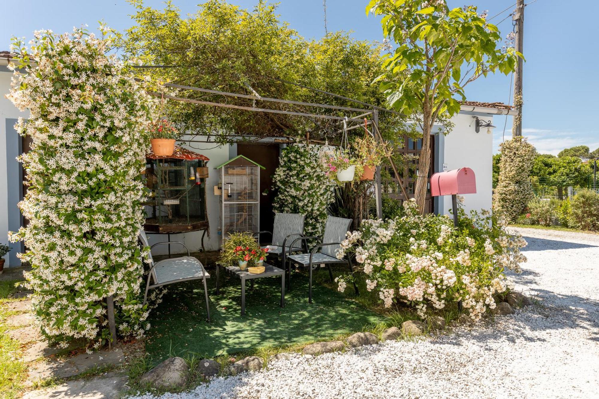 B&B Il Ramaiolo Santa Maria a Monte Kültér fotó